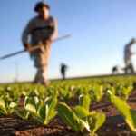 tassazione del reddito agrario